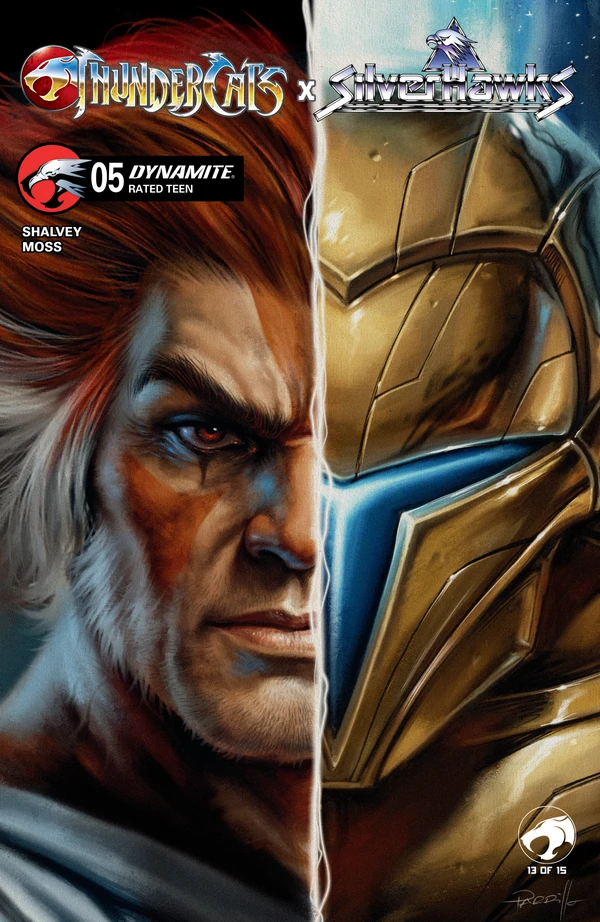 Thundercats X Silverhawks: Lucio Parrillo Variant #5 - Cover B
